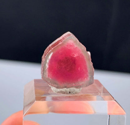 Watermelon Tourmaline Slice from Afghanistan - 14.35 Carats
