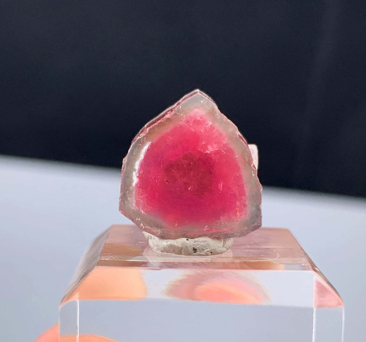Watermelon Tourmaline Slice from Afghanistan - 14.35 Carats