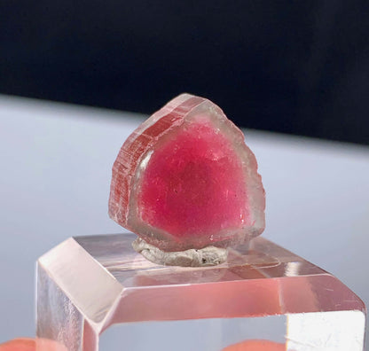 Watermelon Tourmaline Slice from Afghanistan - 14.35 Carats