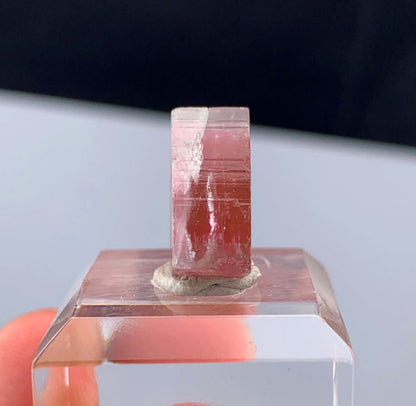 Watermelon Tourmaline Slice from Afghanistan - 14.35 Carats