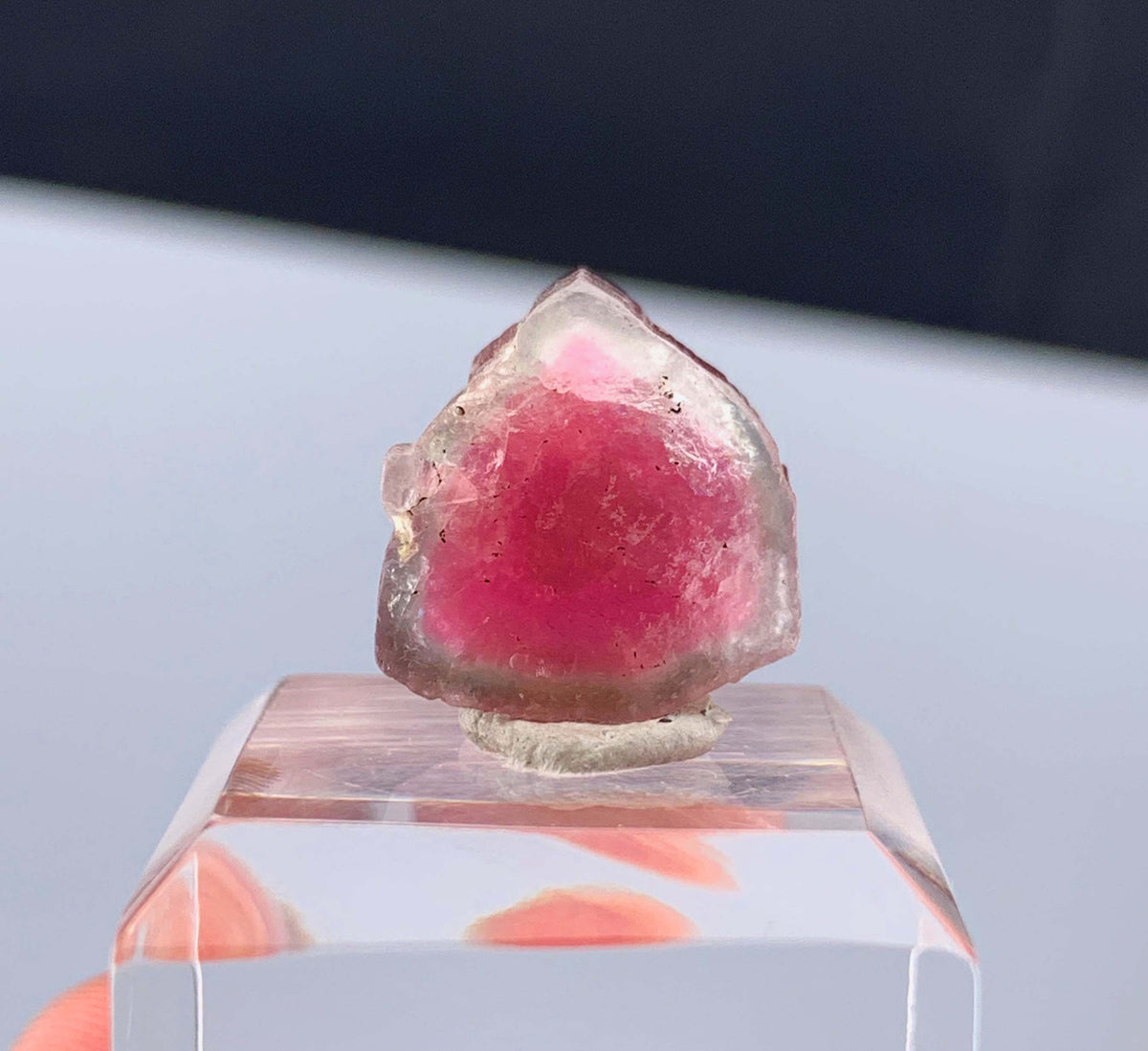 Watermelon Tourmaline Slice from Afghanistan - 14.35 Carats