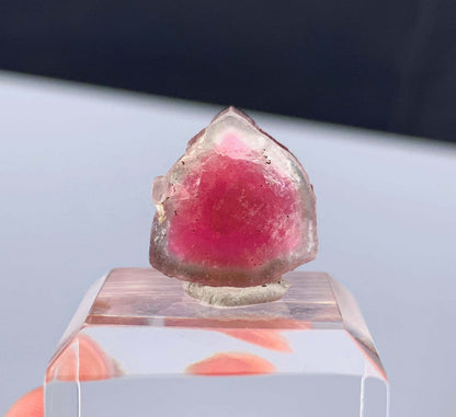 Watermelon Tourmaline Slice from Afghanistan - 14.35 Carats