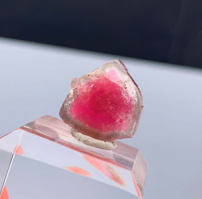 Watermelon Tourmaline Slice from Afghanistan - 14.35 Carats