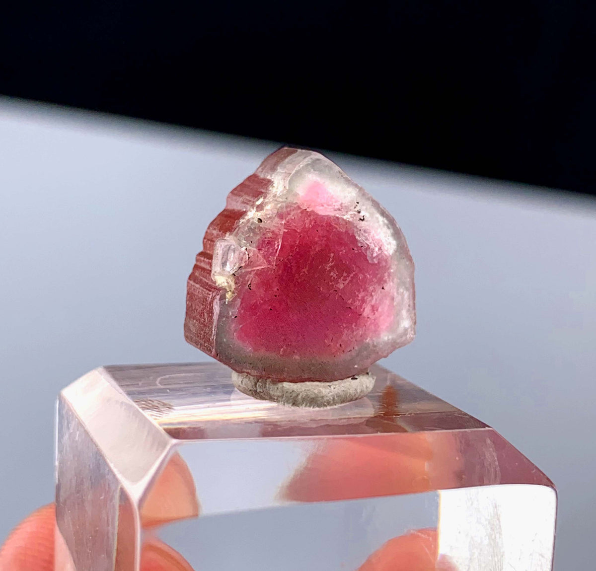 Watermelon Tourmaline Slice from Afghanistan - 14.35 Carats