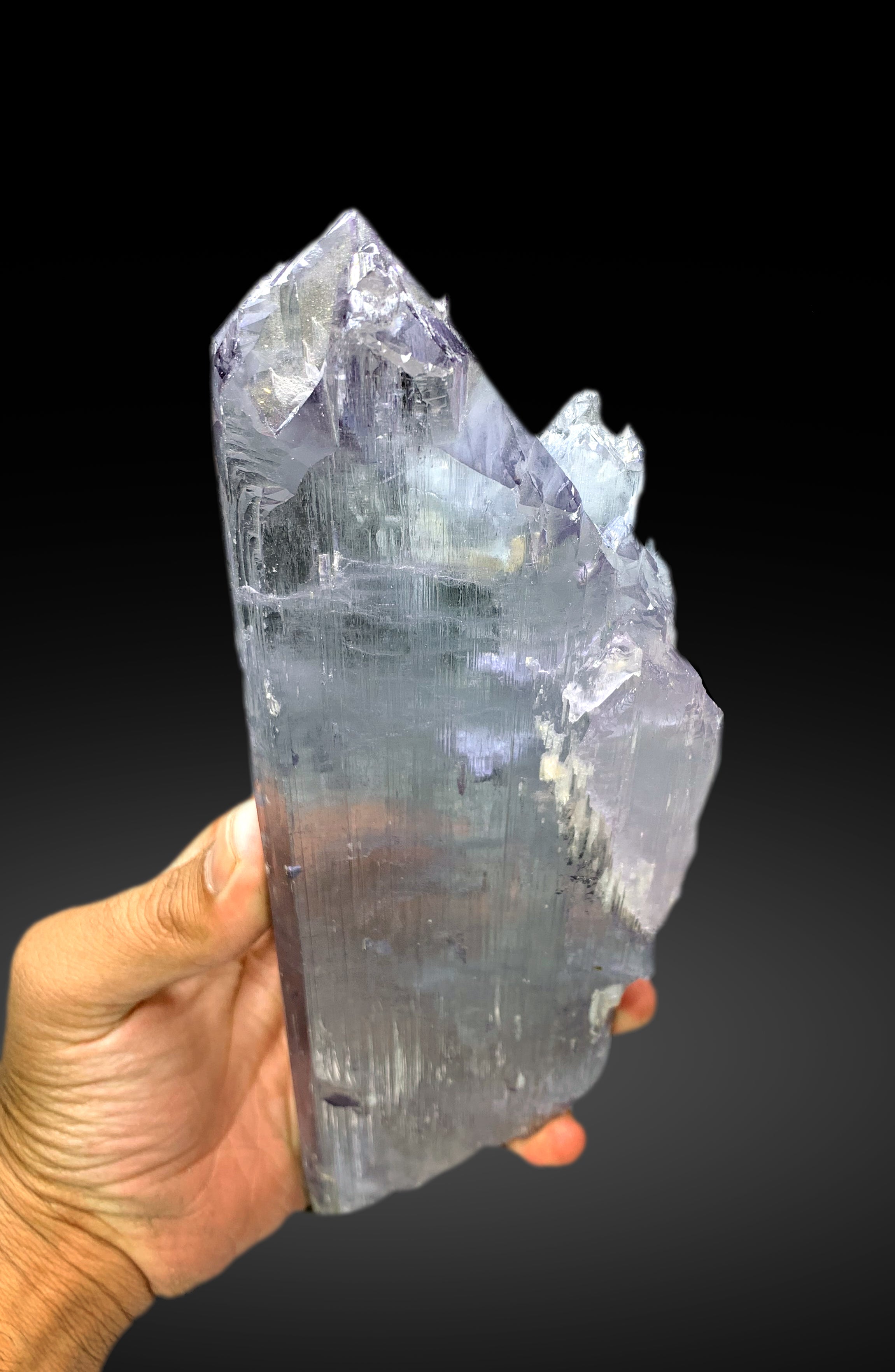 Museum Grade Purple Bluish Kunzite with Spike Terminations from Afghanistan - 1013 gram