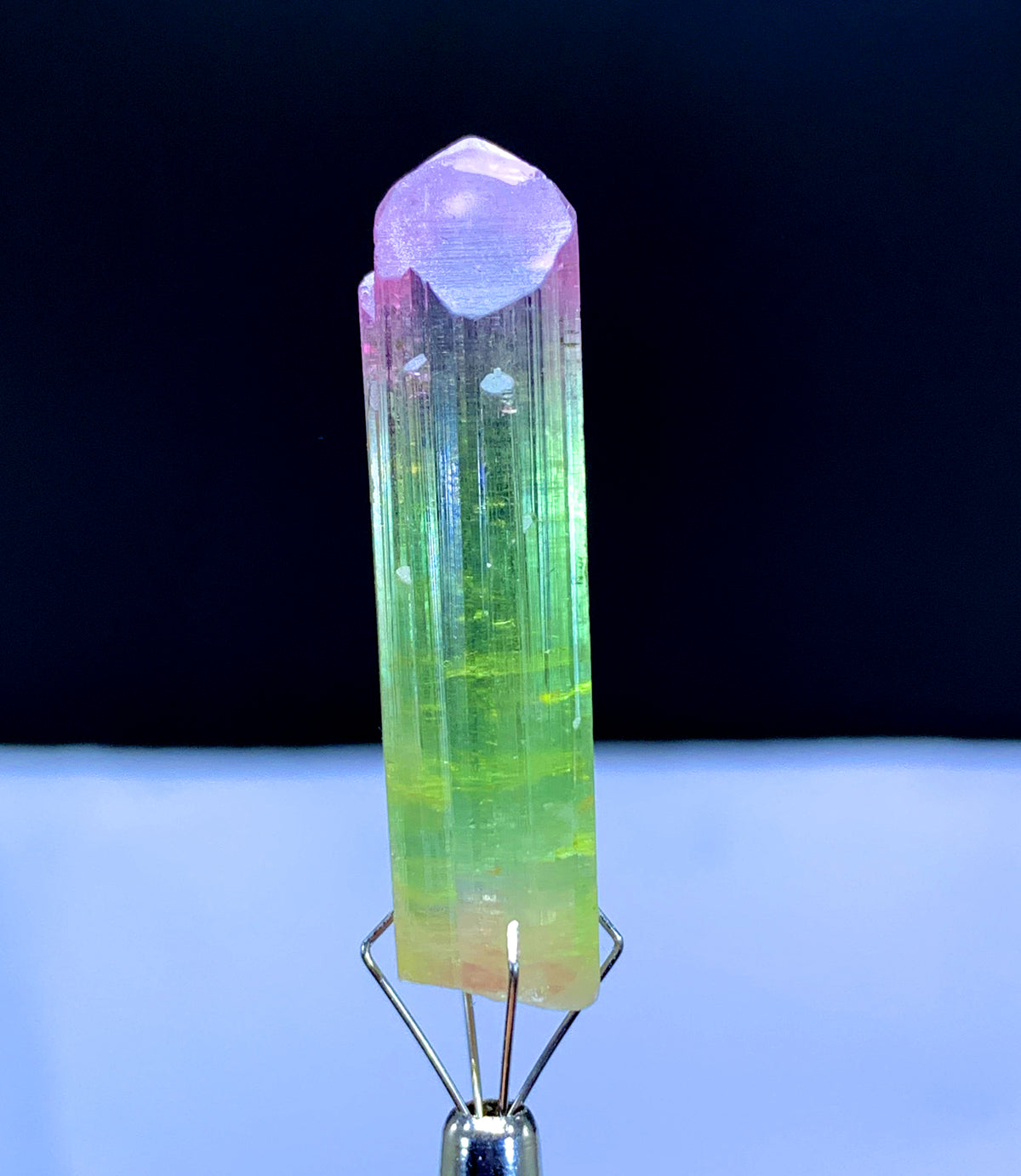 Natural Bicolor Lipstick Tourmaline Crystal from Paprok Afghanistan - 36.50 carats