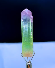 Natural Bicolor Lipstick Tourmaline Crystal from Paprok Afghanistan - 36.50 carats