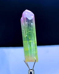 Natural Bicolor Lipstick Tourmaline Crystal from Paprok Afghanistan - 36.50 carats