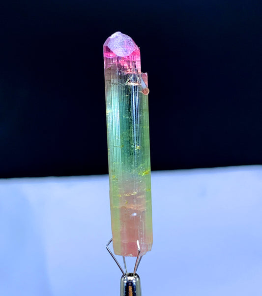 Natural Bicolor Lipstick Tourmaline Crystal from Paprok Afghanistan - 39.80 carats