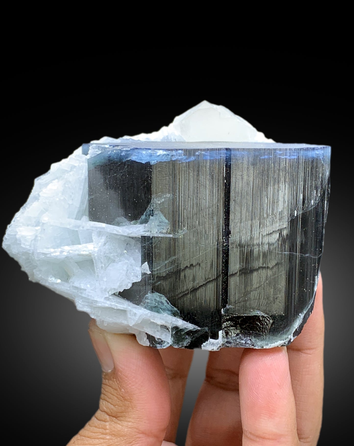 Blue Cap Tourmaline with Cleavelandite Albite and Quartz from Paprok Afghanistan - 487 gram