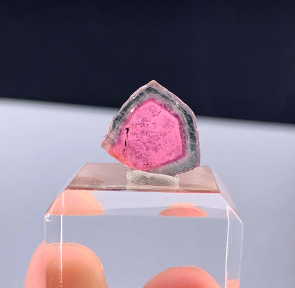 Watermelon Tourmaline Slice from Afghanistan - 7.50 Carats