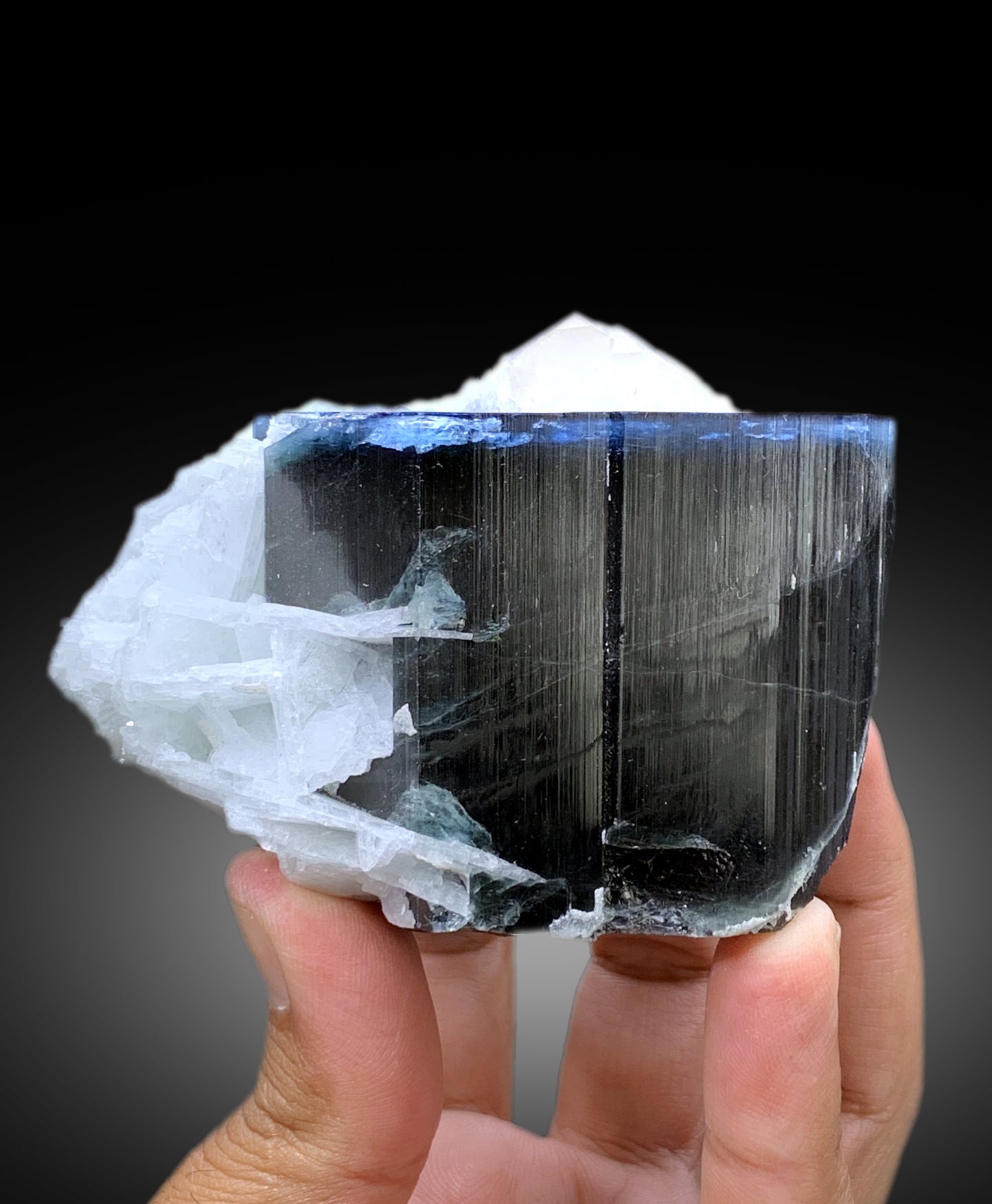 Blue Cap Tourmaline with Cleavelandite Albite and Quartz from Paprok Afghanistan - 487 gram