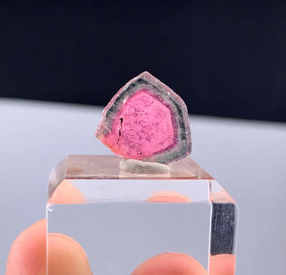 Watermelon Tourmaline Slice from Afghanistan - 7.50 Carats