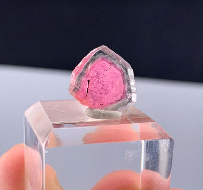 Watermelon Tourmaline Slice from Afghanistan - 7.50 Carats
