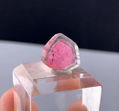 Watermelon Tourmaline Slice from Afghanistan - 7.50 Carats