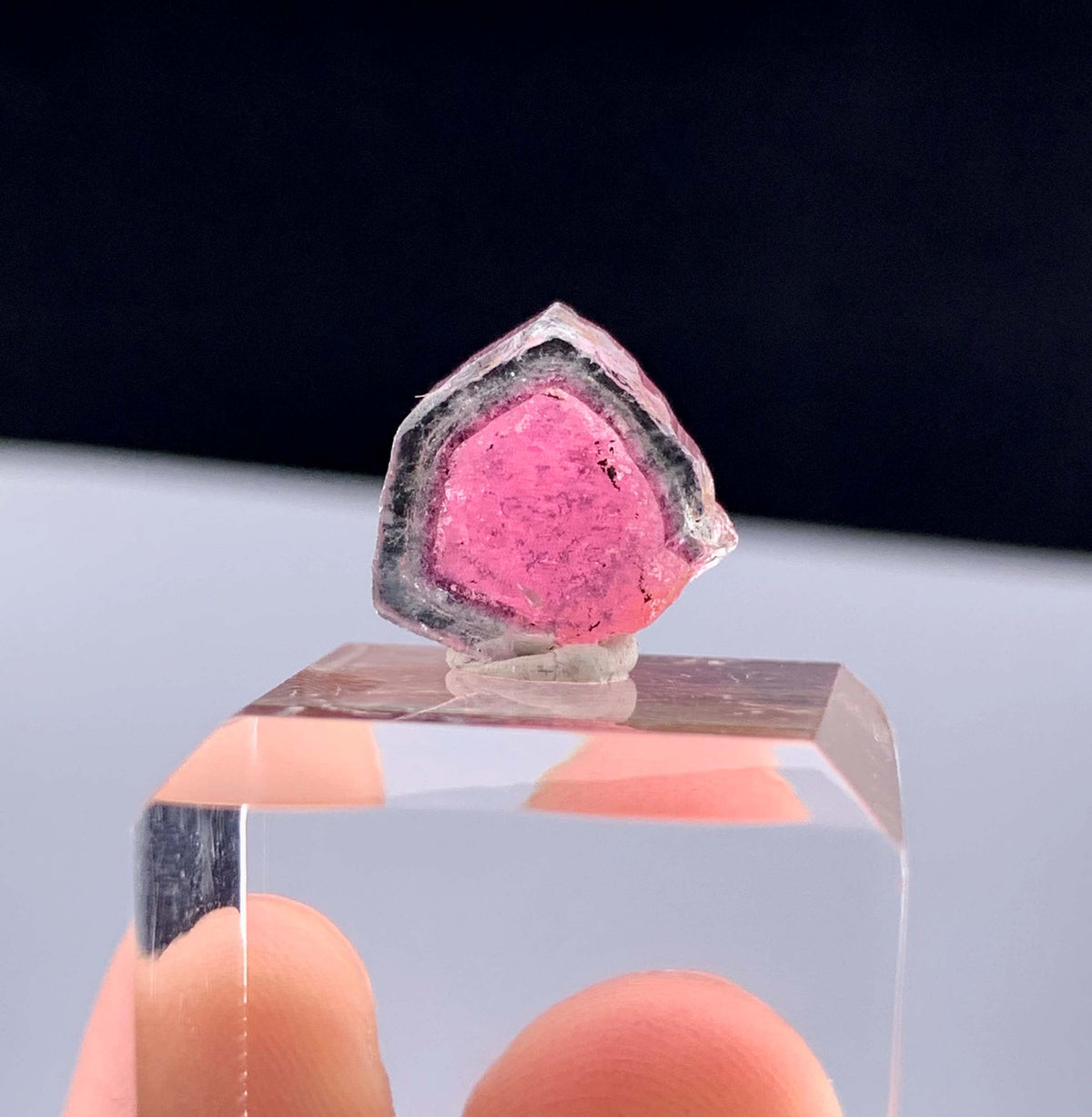 Watermelon Tourmaline Slice from Afghanistan - 7.50 Carats