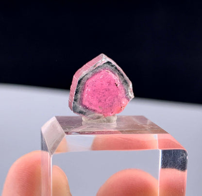 Watermelon Tourmaline Slice from Afghanistan - 7.50 Carats