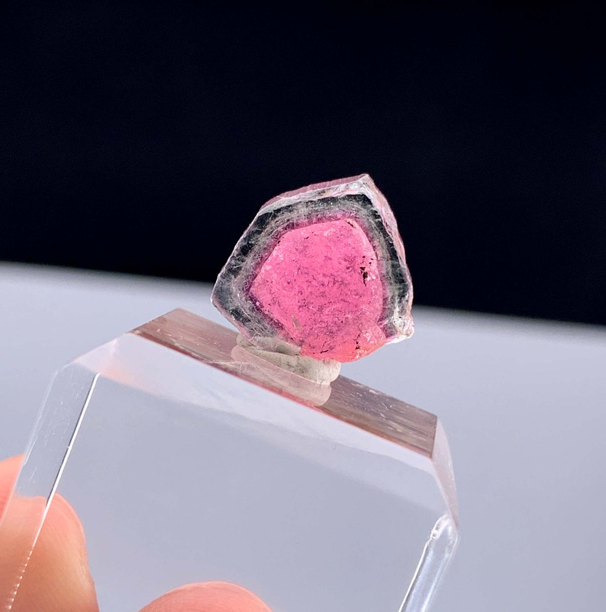 Watermelon Tourmaline Slice from Afghanistan - 7.50 Carats