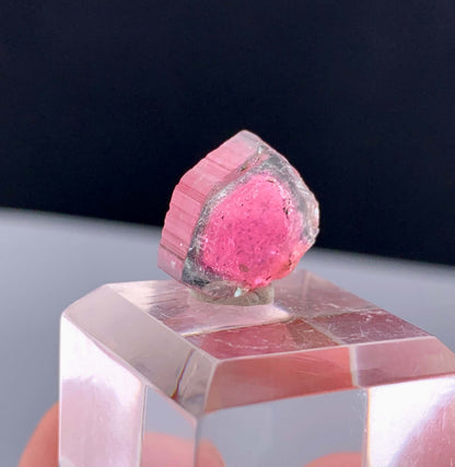 Watermelon Tourmaline Slice from Afghanistan - 7.50 Carats