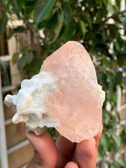 Natural Pink Morganite with White Albite from Afghanistan - 244 grams