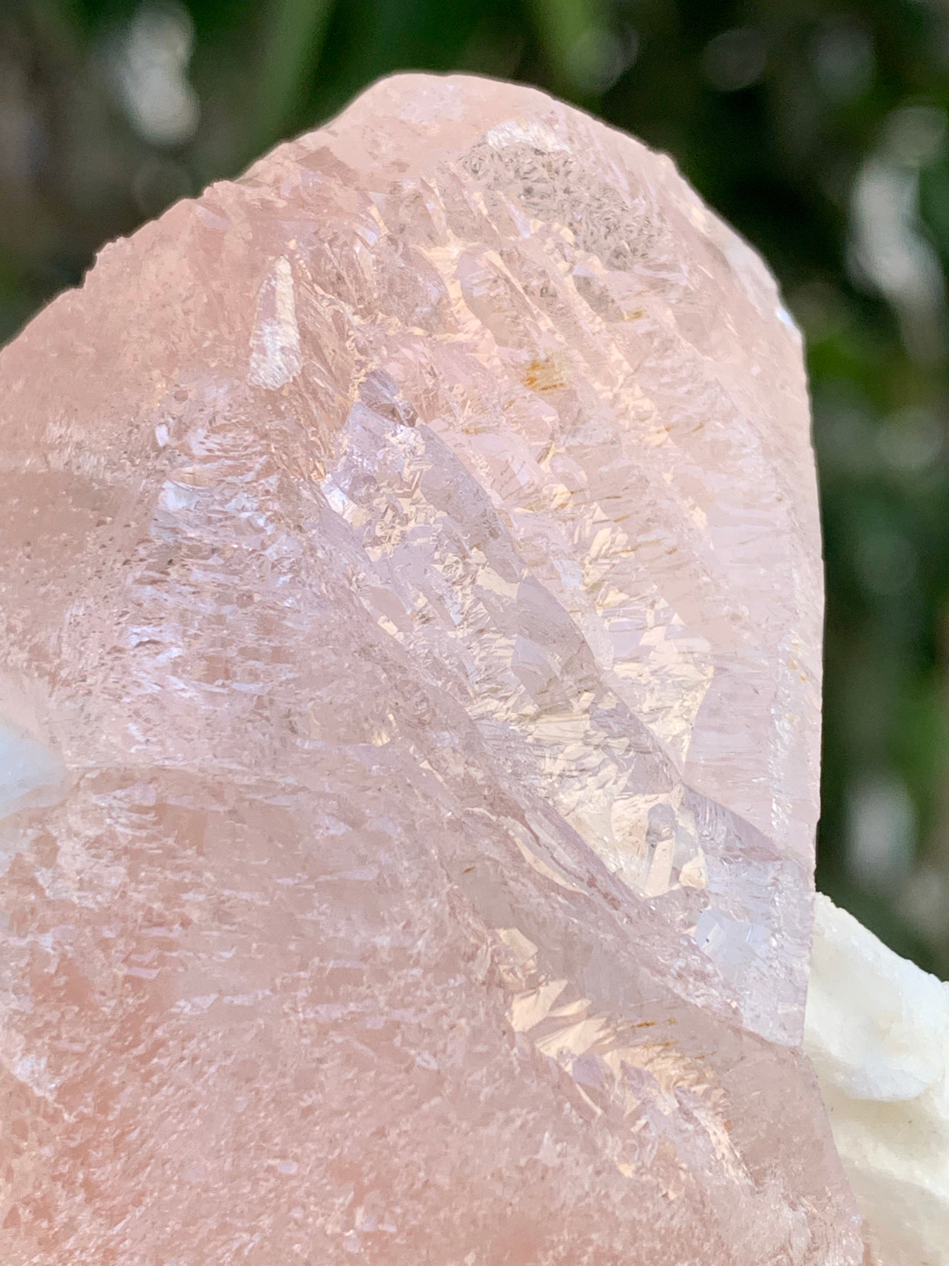 Natural Pink Morganite with White Albite from Afghanistan - 244 grams