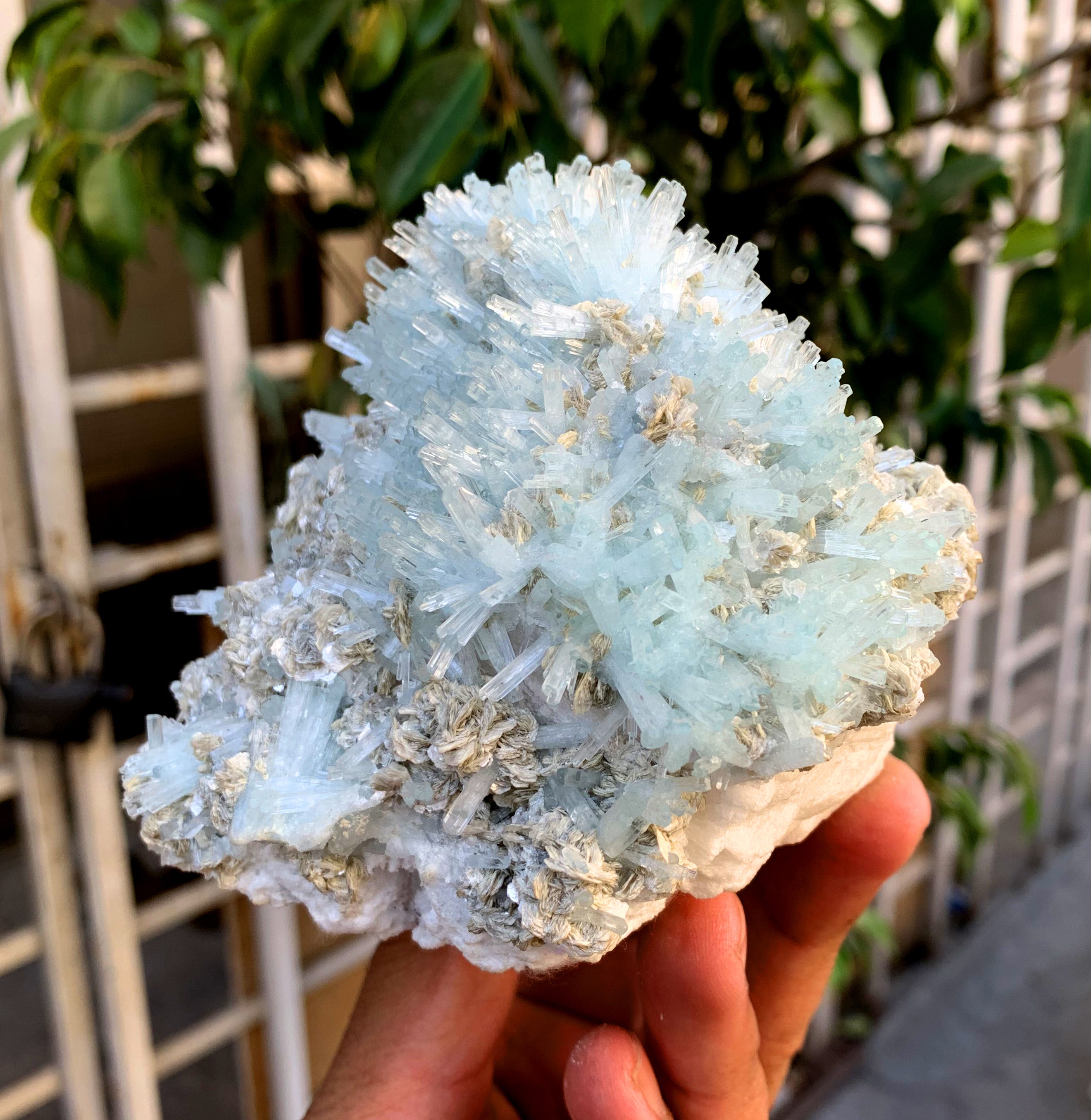 Sky Blue Aquamarine Cluster with Mica on Feldspar from Pakistan - 1157 grams