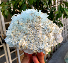 Sky Blue Aquamarine Cluster with Mica on Feldspar from Pakistan - 1157 grams