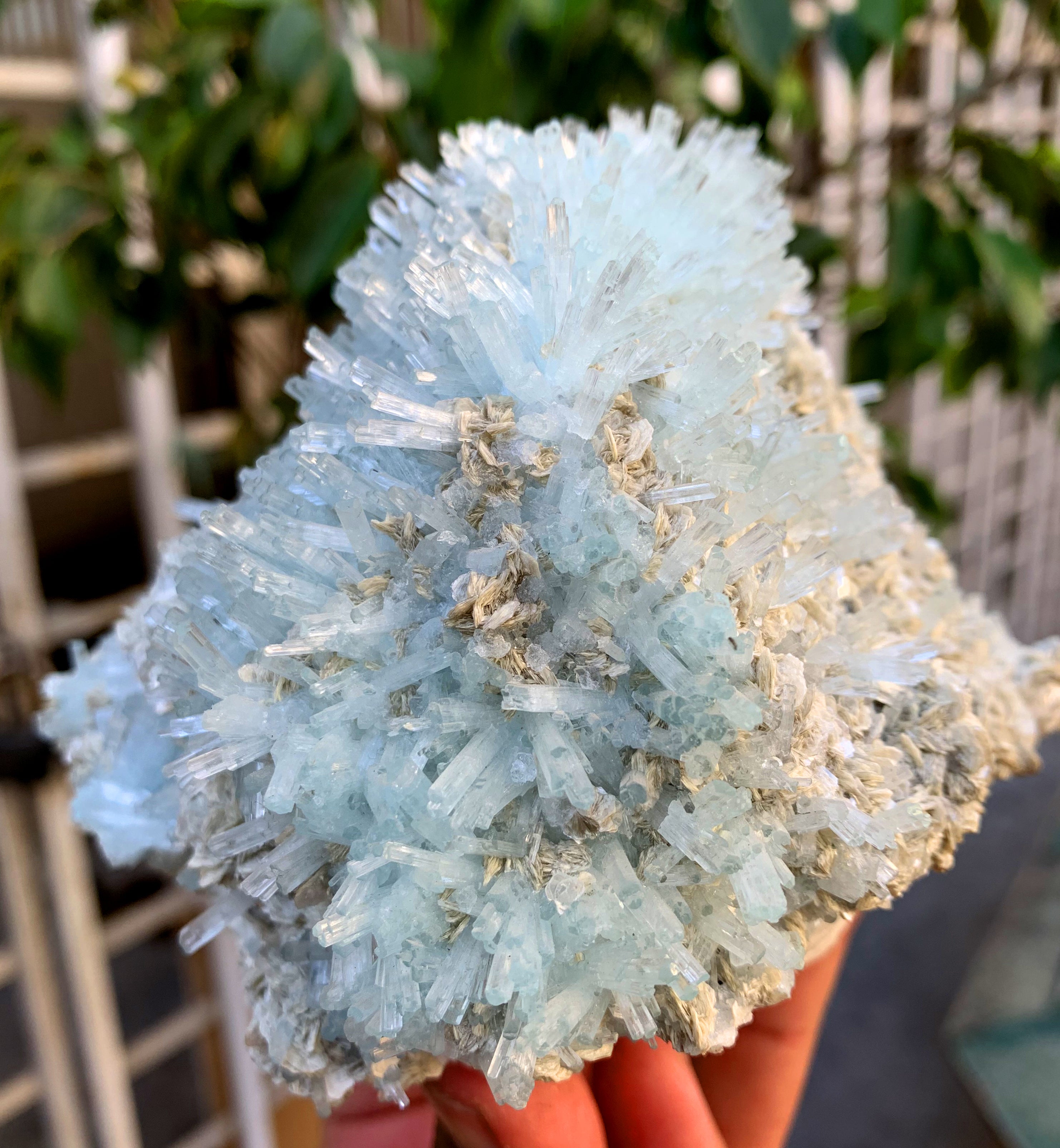 Sky Blue Aquamarine Cluster with Mica on Feldspar from Pakistan - 1157 grams