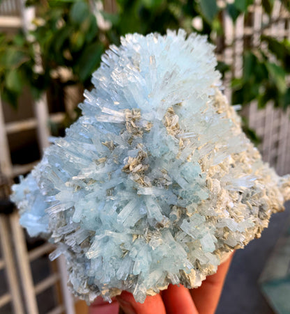 Sky Blue Aquamarine Cluster with Mica on Feldspar from Pakistan - 1157 grams