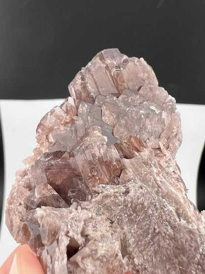 Rare Brown Axinite Crystals Cluster From Skardu Pakistan - 62 Grams