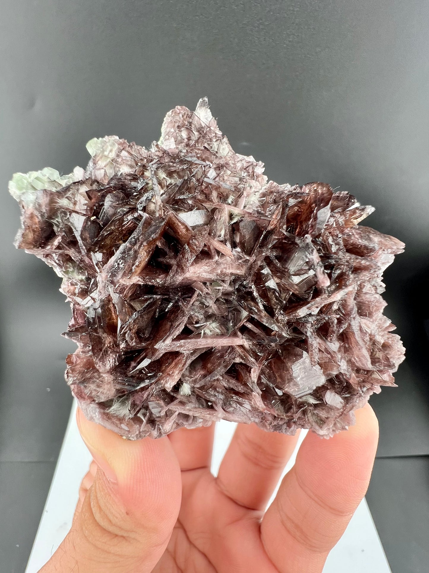Rare Brown Axinite Crystals Cluster From Skardu Pakistan - 177 Grams