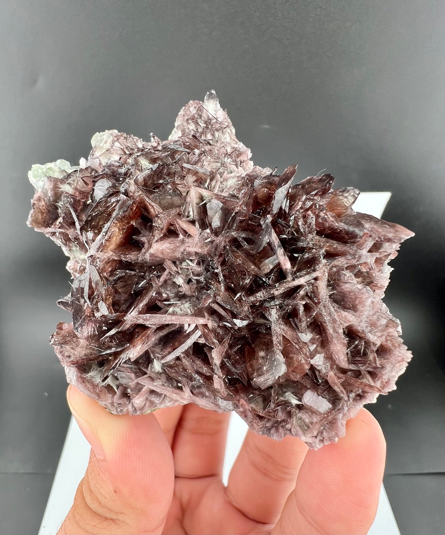 Rare Brown Axinite Crystals Cluster From Skardu Pakistan - 177 Grams