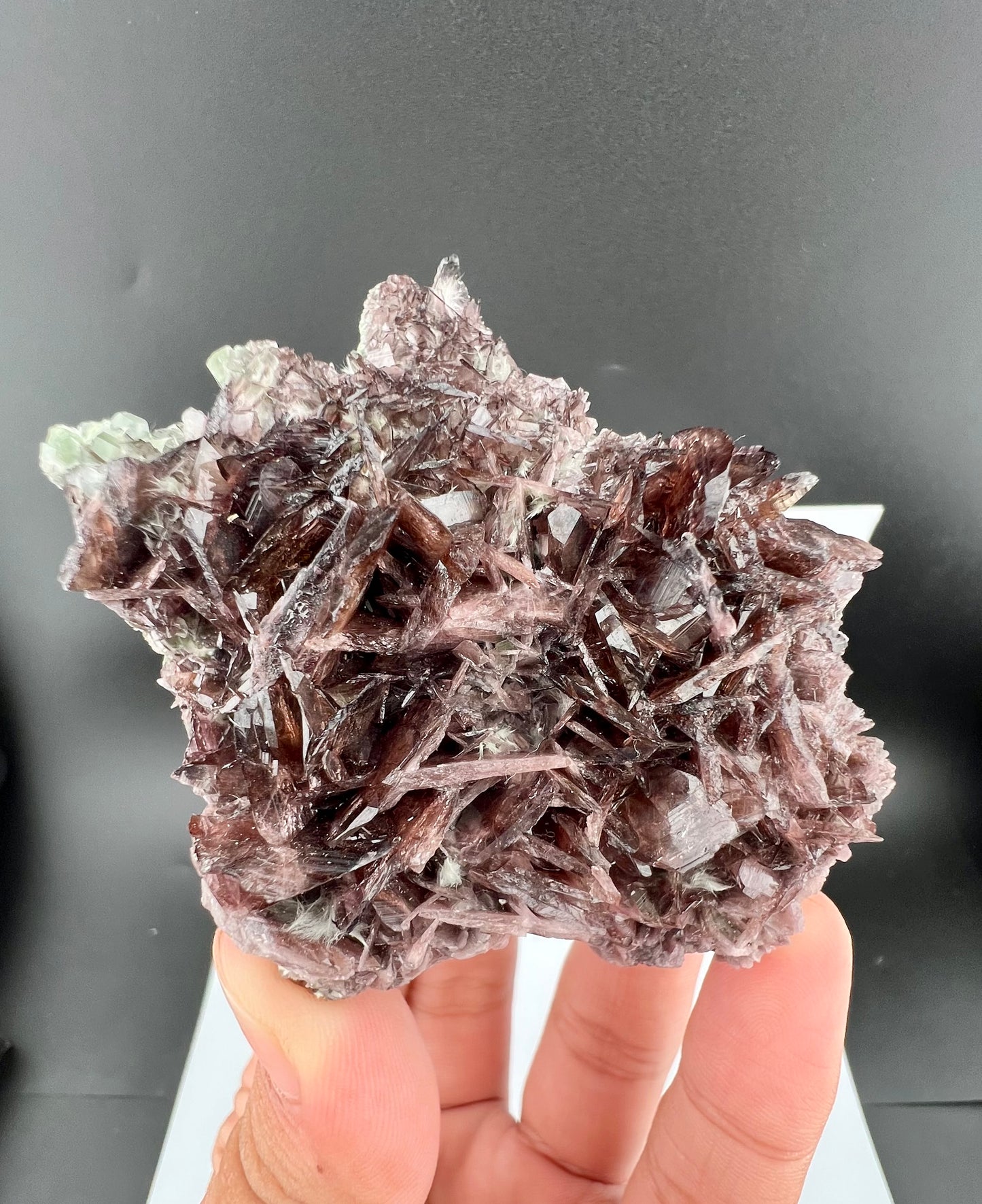 Rare Brown Axinite Crystals Cluster From Skardu Pakistan - 177 Grams