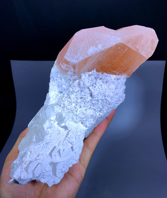 Museum Grade Pink Morganite on Albite Matrix from Afghanistan - 1680 gram