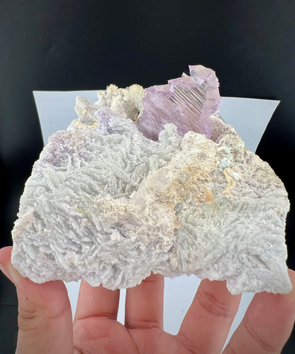 Pink Kunzite Crystal With Albite on Quartz From Afghanistan - 745 Grams