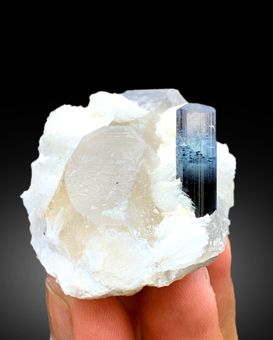 Natural Blue Cap Tourmaline Crystal with Quartz and Albite from Paprok Afghanistan - 76 gram