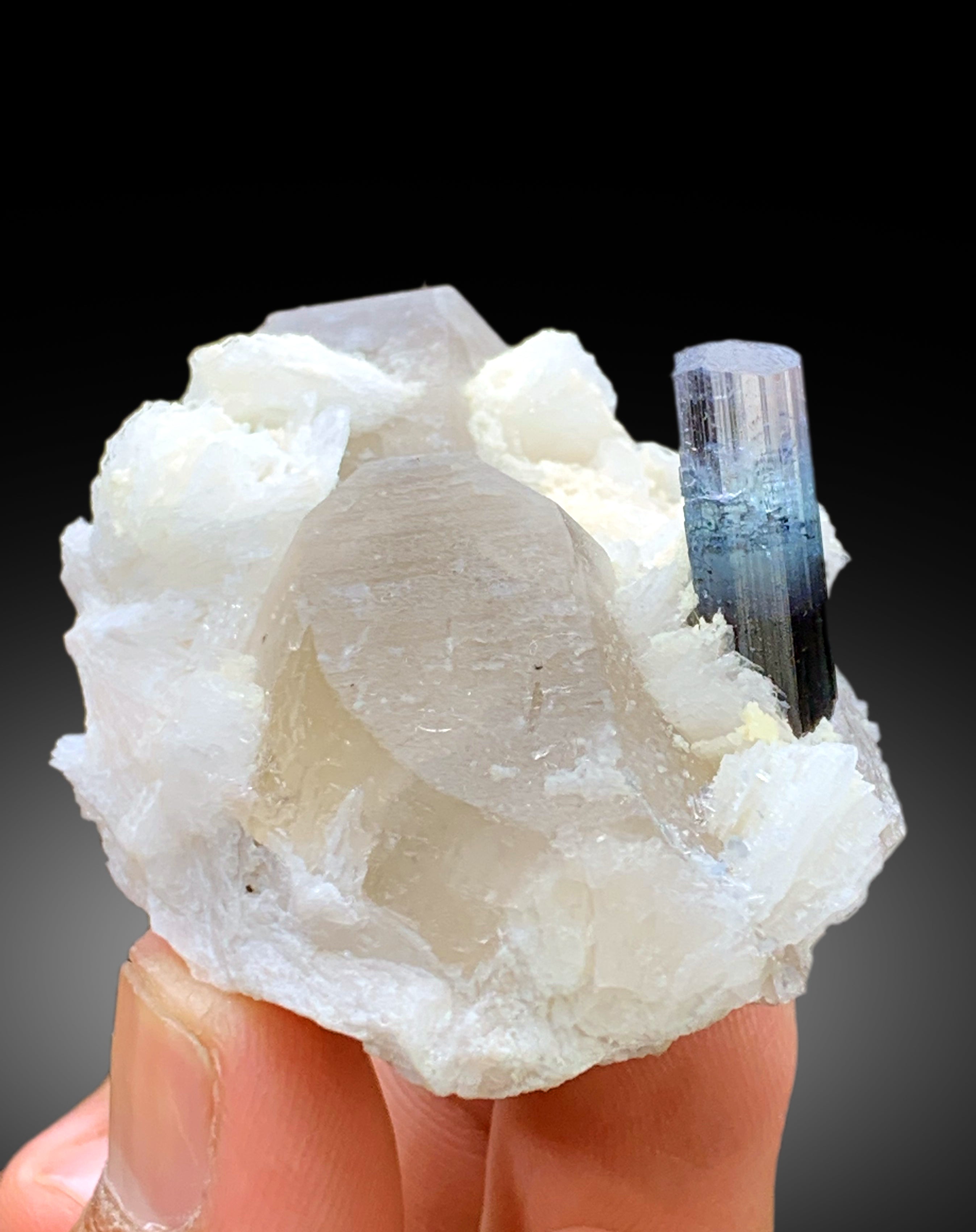 Natural Blue Cap Tourmaline Crystal with Quartz and Albite from Paprok Afghanistan - 76 gram