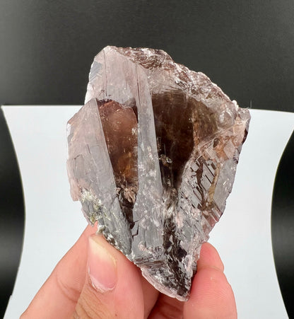 Rare Brown Axinite Crystal From Skardu Pakistan - 77 Grams
