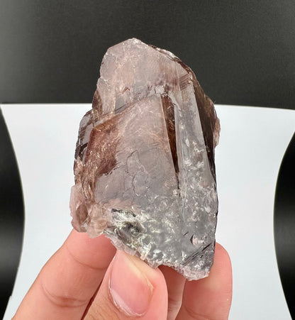 Rare Brown Axinite Crystal From Skardu Pakistan - 77 Grams