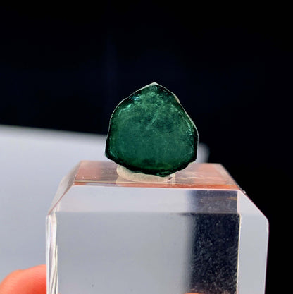 Green Tourmaline Slice from Afghanistan - 6.40 Carats