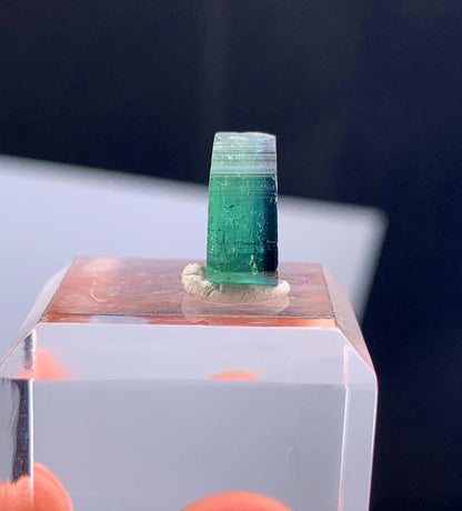 Green Tourmaline Slice from Afghanistan - 6.40 Carats