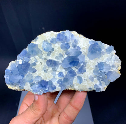 Blue Celestine Crystals On Yellow Calcite From Afghanistan - 460 Grams