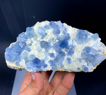 Blue Celestine Crystals On Yellow Calcite From Afghanistan - 460 Grams