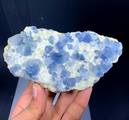 Blue Celestine Crystals On Yellow Calcite From Afghanistan - 460 Grams