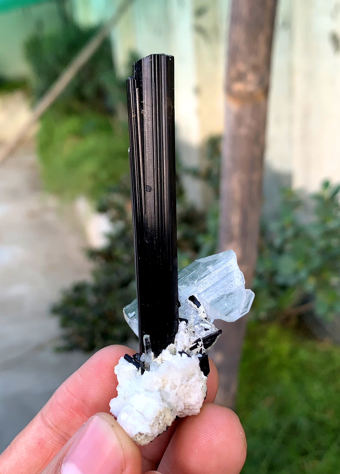 Schorl Black Tourmaline with Aquamarine and Feden Quartz from Pakistan - 27 grams