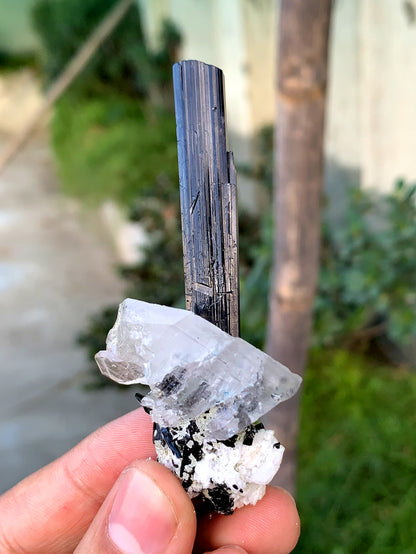 Schorl Black Tourmaline with Aquamarine and Feden Quartz from Pakistan - 27 grams