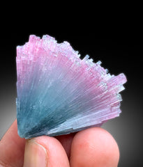 Cotton Candy Tourmaline Bunch from laghman Afghanistan - 50 gram