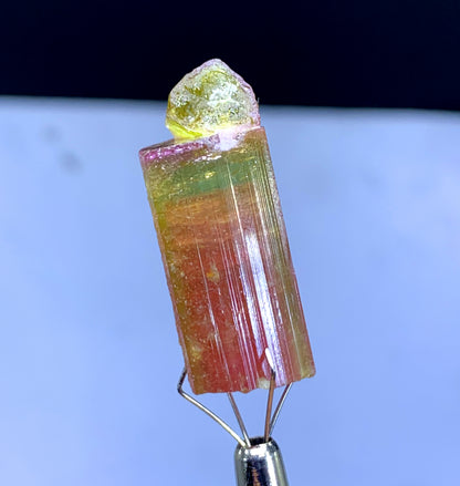 Watermelon Tourmaline Crystal from Paprok Afghanistan - 38.30 carat