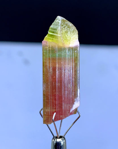 Watermelon Tourmaline Crystal from Paprok Afghanistan - 38.30 carat