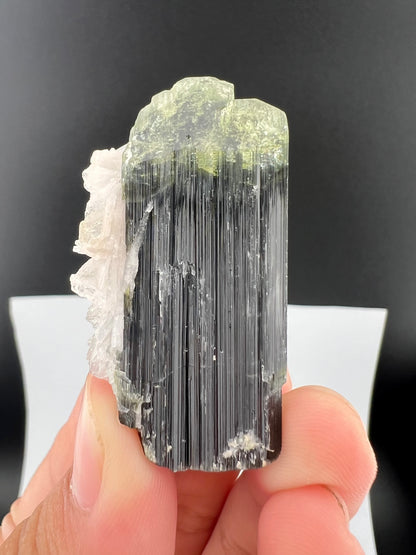 Green Cap Tourmaline Crystal with Albite from Pakistan - 27 Grams